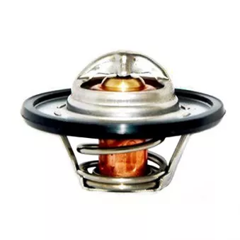 Thermostat, liquide de refroidissement FISPA OEM 050121113B