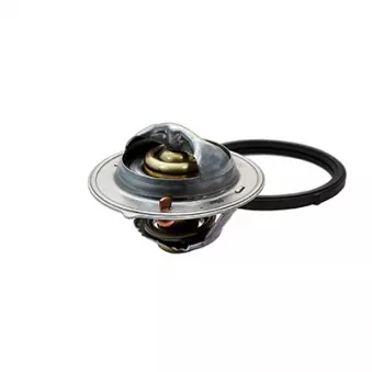 Thermostat, liquide de refroidissement FISPA OEM V52-99-0011