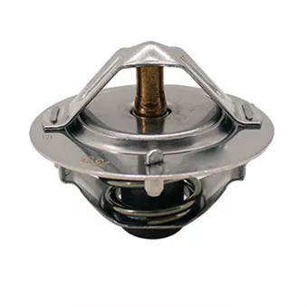 Thermostat, liquide de refroidissement FISPA OEM 38-04-401
