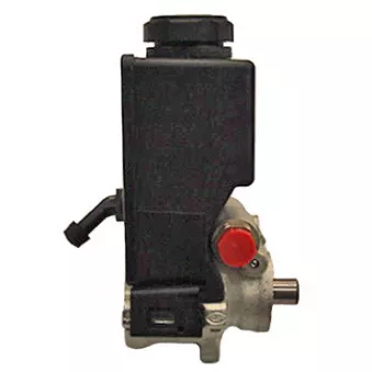 Pompe hydraulique, direction LIZARTE [04.05.0900]