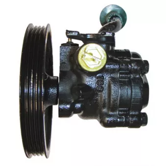 Pompe hydraulique, direction LIZARTE [04.75.0306-1]