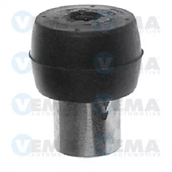 Vis VEMA OEM 4455424