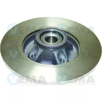 Jeu de 2 disques de frein arrière VEMA OEM 424946