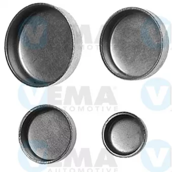Vis-bouchon, carter de vilebrequin VEMA 2055