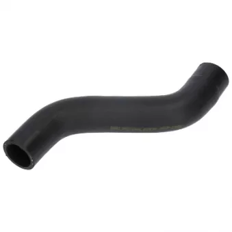 VEMA VE54981 - Durite de radiateur
