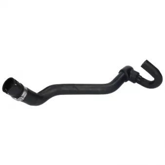 VEMA VE55042 - Durite de radiateur