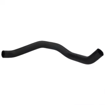 VEMA VE55091 - Durite de radiateur