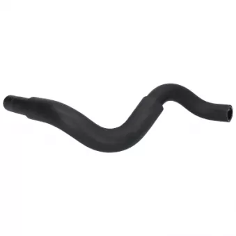 VEMA VE55489 - Durite de radiateur