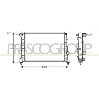 Radiateur, refroidissement du moteur PRASCO AA340R004