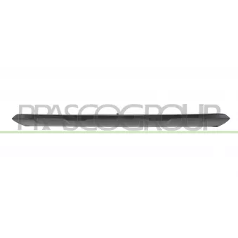 Baguette et bande protectrice, pare-chocs PRASCO AD8151245