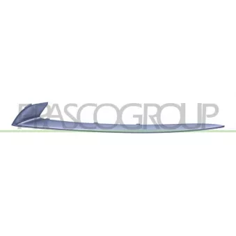 PRASCO BM0502204 - Baguette et bande protectrice, pare-chocs avant gauche