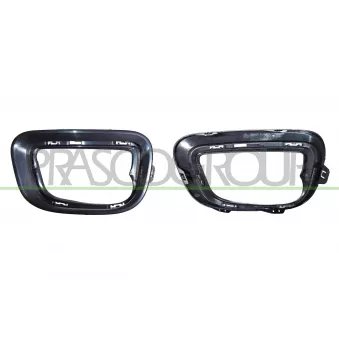 Cadre, projecteur antibrouillard PRASCO CI9251240