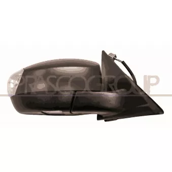 PRASCO FD0797323P - Rétroviseur extérieur