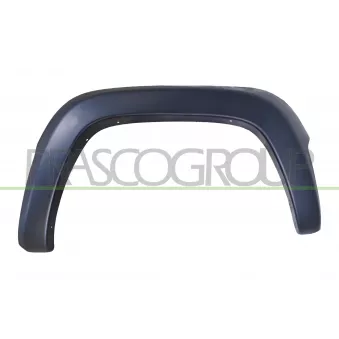 Élargissement, aile avant droit PRASCO OEM 5GH00TZZAE