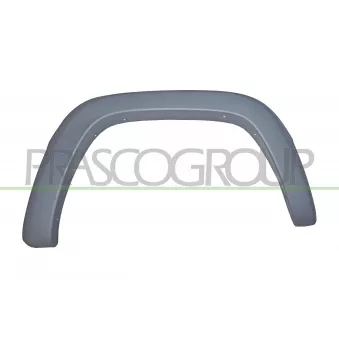 Élargissement, aile avant droit PRASCO OEM 5GG96HS5AG