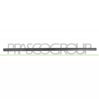 Baguette et bande protectrice, porte avant gauche PRASCO VG0211404