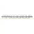 PRASCO VG0211413 - Baguette et bande protectrice, porte avant droit