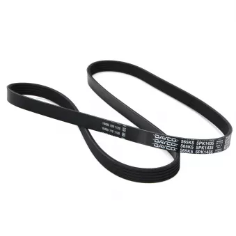 Courroie Trapézoïdale à Nervures MEYLE - Courroie Poly-V Pour Volkswagen Golf IV 1.9 TDI 4motion - 050 005 1435