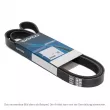 DAYCO 6PK1381 - Courroie trapézoïdale à nervures