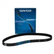 DAYCO 94950 - Courroie crantée