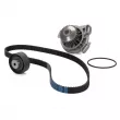 DAYCO KTBWP2030 - Pompe à eau + kit de courroie de distribution