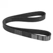 DAYCO 7PK1051EE - Courroie trapézoïdale à nervures