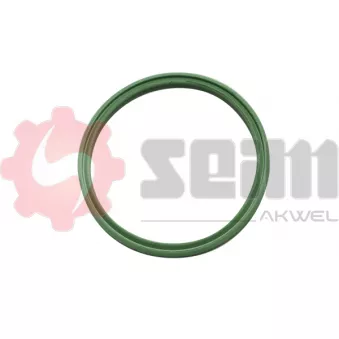 Gaine de suralimentation SEIM 981967