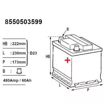 MOTRIO 8550503599 - Batterie de démarrage