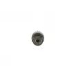 BOSCH 1 006 210 163 - Embrayage à roue libre, démarreur