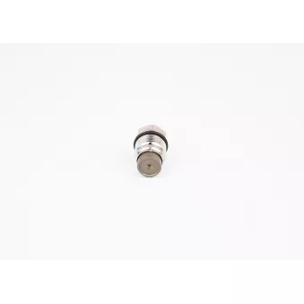 Soupape de surpression, système à rampe commune BOSCH OEM 0120301732