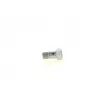 BOSCH 1 417 413 047 - Gicleur, injection