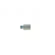BOSCH 1 457 413 010 - Gicleur, injection