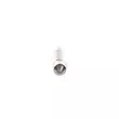 BOSCH 1 987 301 004 - Ampoule