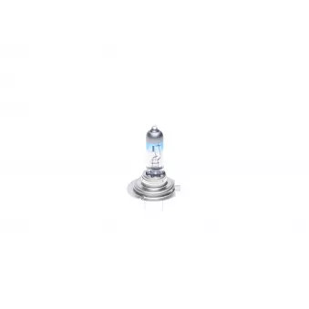 Ampoule BOSCH 1 987 301 090