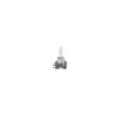 BOSCH 1 987 301 099 - Ampoule