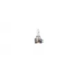 BOSCH 1 987 301 099 - Ampoule