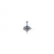 BOSCH 1 987 301 144 - Ampoule, projecteur principal