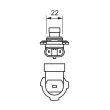 BOSCH 1 987 302 027 - Ampoule