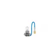 BOSCH 1 987 302 031 - Ampoule, projecteur antibrouillard