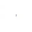 BOSCH 1 987 302 240 - Ampoule, feu éclaireur de plaque