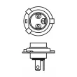 BOSCH 1 987 302 441 - Ampoule, projecteur principal