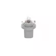 Ampoule BOSCH [1 987 302 514]