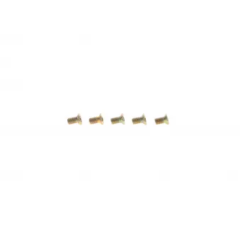 Boulon BOSCH OEM 1318765
