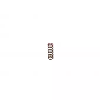 Ressort BOSCH OEM 1319285