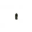 BOSCH F 00M 144 173 - Régulateur d'alternateur