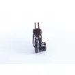 BOSCH F 00M A45 252 - Régulateur d'alternateur