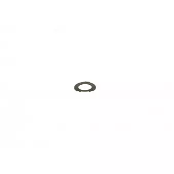 Joint BOSCH OEM A2074920000