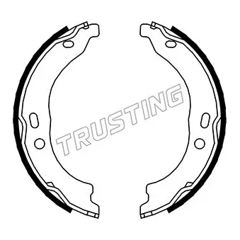 Jeu de mâchoires de frein, frein de stationnement TRUSTING OEM 77364023