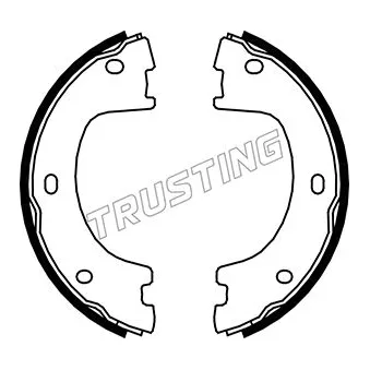 Jeu de mâchoires de frein, frein de stationnement TRUSTING OEM 2E0698525A