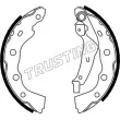 TRUSTING 064.170 - Jeu de mâchoires de frein
